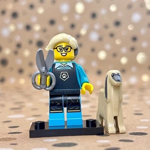 LEGO MINIFIGURES COLLECTION ~ Series 25 ~ 71045 ~ Pet Groomer #12 - Picture 1 of 7