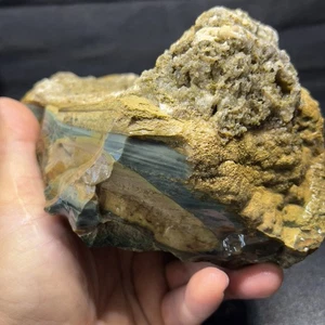 3lb 15oz Blue Mountain Orbicular Porcelain Picture of Jasper Pair Rough #03 - Picture 1 of 11