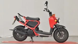 2010 Honda Zoomer 50 NPS 50-6 Moped Petrol Manual - Picture 1 of 24