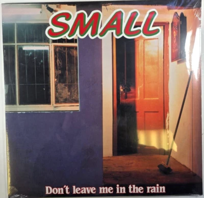Small Don't Leave Me In The Rain LP Album vinyl record House Pop 2022 - Image 1 of 4