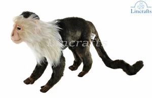 Hansa Capuchin Monkey 5852 Plush Soft Toy Sold by Lincrafts UK Est 1993 - Picture 1 of 4