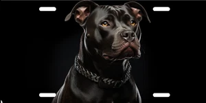 Pitt Bull Dog License Plate Personalized License Plate Add Text - Picture 1 of 1
