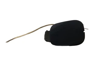 1999- 2005 VOLKSWAGEN JETTA GLS Sedan Fuel Gas Filler Cap & Door Tank Lid Cover - Picture 1 of 16