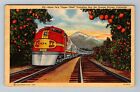 CA-California, Santa Fe Train Travelling throu Orange Grove, Vintage Postcard