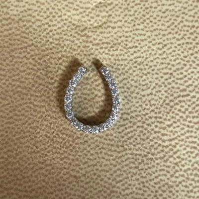 Pt900 Natural Pink H&C Diamond Horseshoe Pendant - Изображение 1 из 4
