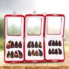 Professional Guzheng Finger Picks - Set of 8 Celluloid Nails with Storage Case