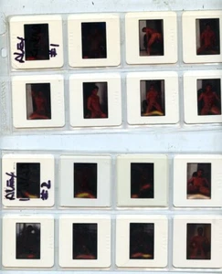 FORUM STUDIOS * 16 UNIQUE VINTAGE 35 MM COLOR SLIDES* ALAN REEVES - Picture 1 of 1
