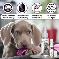 Weimaraner Relax Dog Aromatherapy | Calms Anxious Stressed Scared Dog Naturally