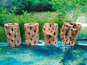 4 piezas de madera OSO DE PELUCHE COLLA de 3" pulgadas | Planta de aire | BONITO túnel de cueva de acuario - Imagen 1 de 13