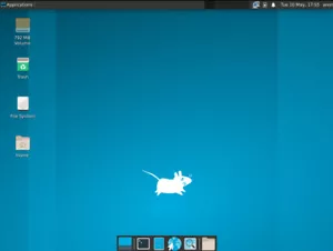 Void XFCE (glibc), Linux Bootable USB Drive - Picture 1 of 5
