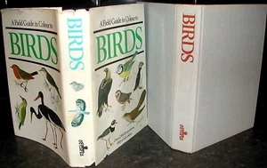 FIELD GUIDE in COLOUR to BIRDS Walter Cerny illus Karel Drchal BIRD of PREY Owls - Picture 1 of 1