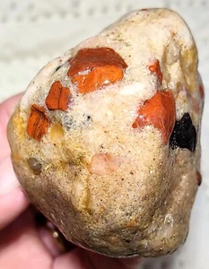 ESPECIMEN #162 CONGLOMERADO DE JASPE PIEDRA PUDÍN GRANDES LAGOS DE LOS GRANDES LAGOS DE 7,90 OZ - Imagen 1 de 24