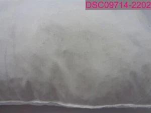 QTY=2; Nordstrom Rack 26"x26" Square White Pillow 100% Cotton Shell - Picture 1 of 6