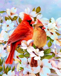 35" Fabric Panel | David Textiles Digital Cardinal Birds on Dogwood Flowers - Picture 1 of 1