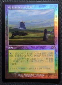 Mtg Japanese Pleb-Grown Windswept Wilderness Old Frame Foil Japan Edition Mh3 - Picture 1 of 5