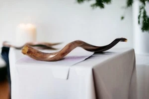 Shofar Vollpolitur koscheres Kuduhorn 24""-28"" - (60-70cm) + Tasche + Geruchsspray - Bild 1 von 24