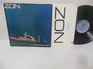 ZON nr mint vinyl lp I'M WORRIED ABOUT THE BOYS - Picture 1 of 3