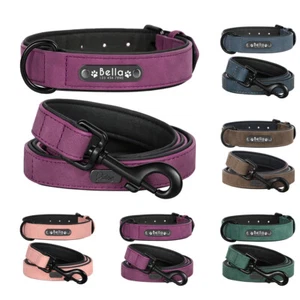 Collar y plomo de Piel Suave Acolchada Personalizable para Perro, Nombre Número - Picture 1 of 38