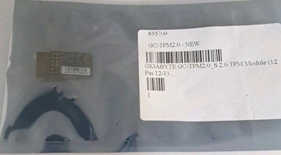 1 GC-TPIY 2.0 S 2.0 modules gigabyte - Image 1 of 3