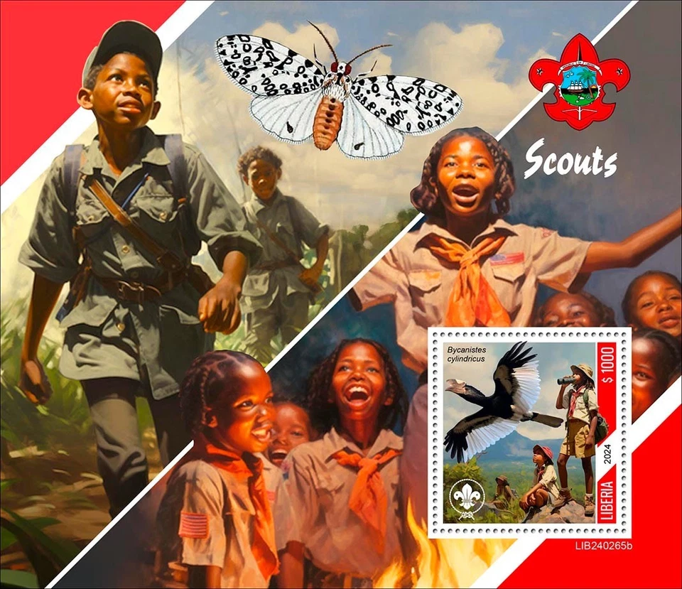 童子军蝴蝶鸟全新邮票 2024 利比里亚 S/S — 第 1/1 张图片