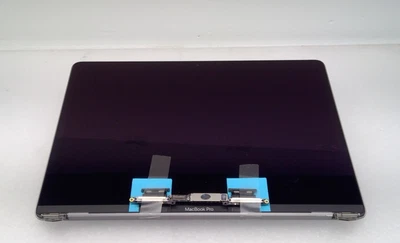 Genuine LCD Screen Assembly 13''MacbookPro A1989 A2159 A2251 2018 2020 Gray - Image 1 of 3