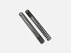 Triumph 900 Street Twin 900 - Water-cooled - Progressive Fork Springs - Picture 1 of 1