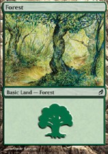 FOREST #298 X4 4 4X Lorwyn MTG Magic the Gathering Cards DJMagic