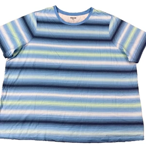 Camiseta para mujer Lands End talla grande relajada de algodón Supima cuello redondo 3X - Imagen 1 de 5
