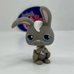 BUNNY RABBIT #14 - Littlest Pet Shop - Hasbro LPS - Picture 1 of 4