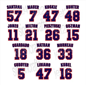 Minnesota Twins DECAL STICKER 2000s Hunter Jones Milton Mauer Santana Guzman + - Picture 1 of 29