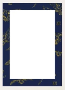10 Sheets 5 Envelopes A4 UNLINED Letter Set: Harry Potter gold owls - Picture 1 of 1