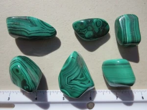 385 TUMBLE POLISHED MALACHITE. BEAUTIFUL. EX CLOSED OLD TIME ROCK SHOP - Picture 1 of 3