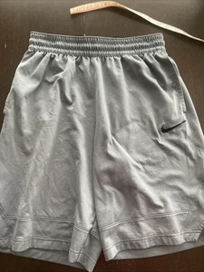 Nike Dri-Fit Shorts Mens Medium - Picture 1 of 21