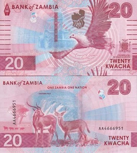 Zambia 20 kwacha 2024 2025 P 63 Jeleń ORZEŁ UNC - Zdjęcie 1 z 3