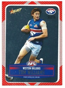2012 Champions DIY Silver (SS216) Tom WILLIAMS Western Bulldogs - Picture 1 of 1