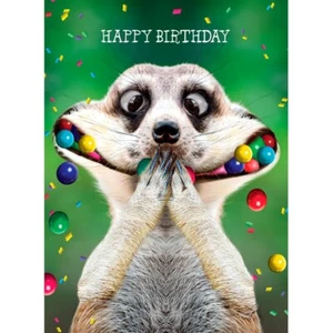 Happy Birthday lustige Erdmännchen Füllung Süßigkeiten Glanz EXTRA GROSSE Kartenspuren - Bild 1 von 1