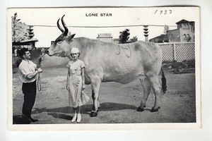 Jeanne Maulsby Owner of Lone Star Largest Living Cow in World San Antonio TX - Bild 1 von 2