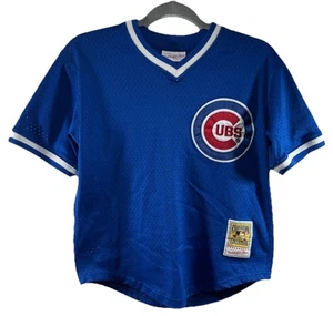 Mitchell & Ness Ryne Sandberg 1984 Chicago Cubs Batting Practice Jersey, Youth M - Picture 1 of 4