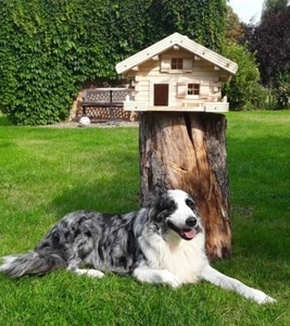 Vogelhaus, Luxus Vogelhaus XL ,Holz, Handarbeit, Blockhausstil - Imagen 1 de 9