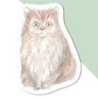 'Fluffy Cat' Decal Stickers (DW038587)