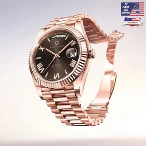 PAGANI DESIGN Fashion DD36 Automatic Watch for Men – Rose Gold Black - Picture 1 of 6