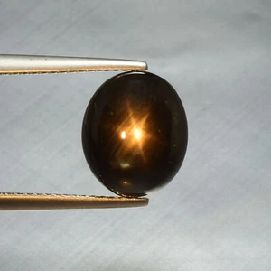 7.67 Cts 6 Rays Black Golden Star Sapphire Cabochon Natural Loose Gemstone - Picture 1 of 3