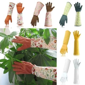Dornsicher Heim Arbeitshandschuh Langarm Rose Schnitthandschuhe Pflanze Blumen - Bild 1 von 20