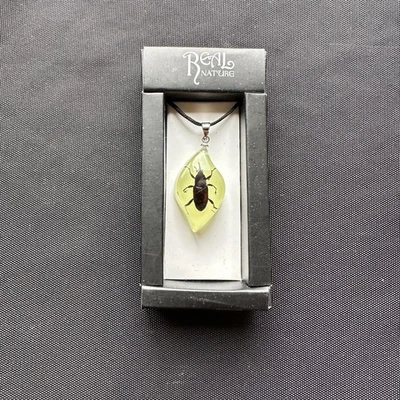 Real Nature Bug Insect Jewelry Glow In The Dark Necklace Bamboo Weevil In Resin - Image 1 of 4