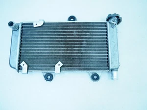 ORIGINAL YAMAHA XT 660 X WASSERKÜHLER RADIATOR / 2004 - 2016 - Bild 1 von 8