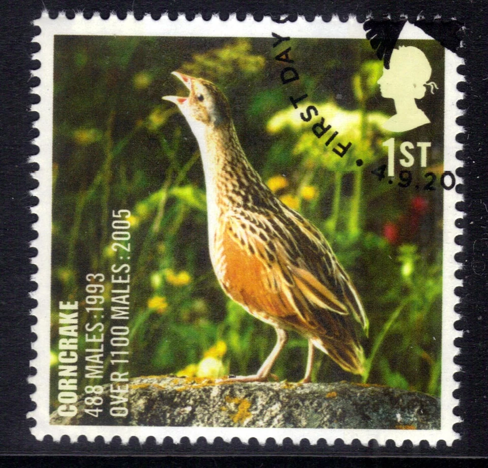 GB 2007 QE2 1st Action For Species Birds Corncrake Ex Fdc SG 2772 ( L763 ) - Image 1 of 1