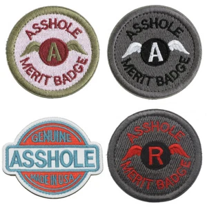 Ass Hole Merit Badge Embroidered Motif Applique Badge Wings Sew On Patch DIY - Picture 1 of 13