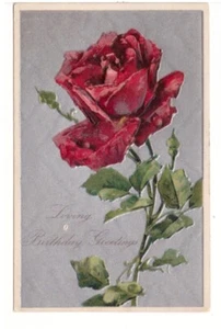 Felicitaciones de cumpleaños amorosas, rosa roja, postal antigua en relieve de 1908 - Imagen 1 de 2