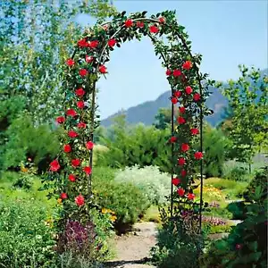 Rosenbogen Rankhilfe Kletterhilfe 240cm Metall Rosenspalier Torbogen Gartenbogen - Bild 1 von 17