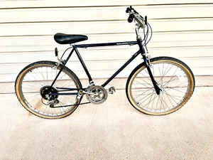 Schwinn Sidewinder 10 Speed Vintage Mountain Bike 1983 FREE SHIPPING!!! - Picture 1 of 24